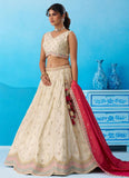 Embroidered Tissue Lehenga