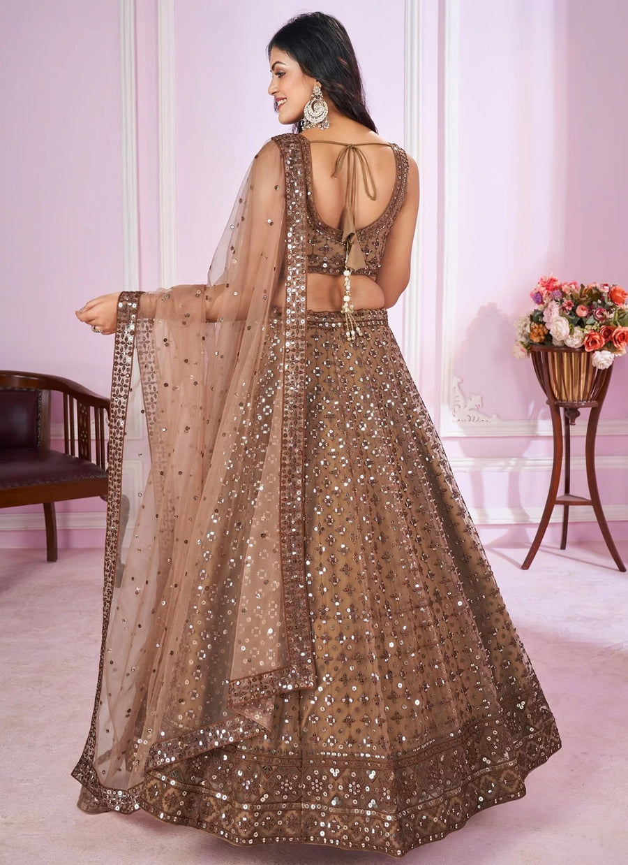 Traditional brown lehenga choli with soft net dupatta