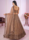 Traditional brown lehenga choli with soft net dupatta