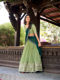 Pista Color Sequins And Embroidery Work With Hotfix Silver Glossy Lehenga Choli