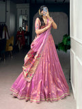 Wedding Wear Traditional Lehenga Choli