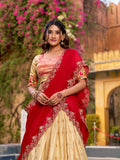 Zari weaving Work With Paithnai Border Lehenga