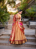 Chiku Color Zari Weaving Work Jacquard Silk(Paithani) Lehenga Choli
