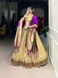 Cream Color Plain With Paithani Lace Border Erode Lehenga Choli