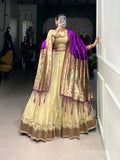 Cream Color Plain With Paithani Lace Border Erode Lehenga Choli