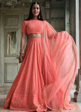 Elegant georgette lehenga for sangeet and receptions