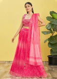 Pink Organza Real mirror and Sequins Embroidered Lehenga choli