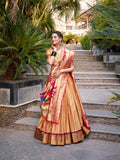 Chiku Color Zari Weaving Work Jacquard Silk(Paithani) Lehenga Choli