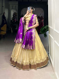 Cream Color Plain With Paithani Lace Border Erode South Indian Lehenga Choli