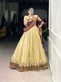 Cream Color Plain With Paithani Lace Border Erode Lehenga Choli