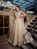Cream Color Sequins And Thread Embroidery Work Gold Crush Lehenga Choli