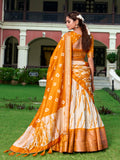 Mustard Color Shibori Print With Zari Weaving Border Dola Silk Chaniya Choli