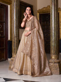 Chiku lehenga choli with luxury fabric drape