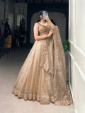 Chiku Color Sequins And Embroidery Work With Gold Crush Lehenga Choli
