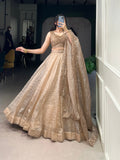 Chiku Color Sequins And Embroidery Work With Gold Crush Lehenga Choli