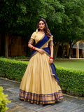 Navy Blue Color Zari Weaving Work Kanchipuram Lehenga Choli