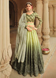 Desirable Pista and Mehendi Silk lehenga for women