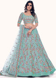 Firozi Net Trendy Wedding Lehenga choli