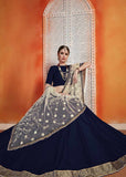 Beautiful Lehenga