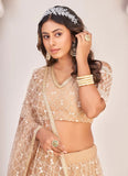 Sequence Embroidered Chikoo Net Party Wear Lehenga