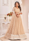 Sequence Embroidered Chikoo Net Party Wear Lehenga