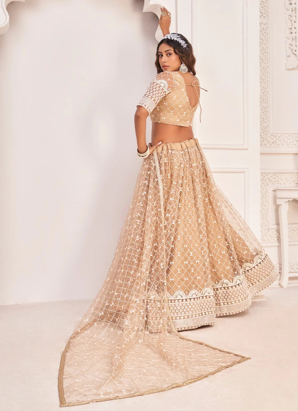 Sequence Embroidered Chikoo Net Party Wear Lehenga